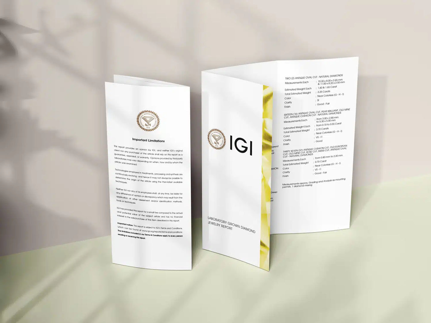 Lab Grown Diamond Martini Stud Earrings IGI Certified 14K Gold Round Diamond Studs| VVS Clarity D Color